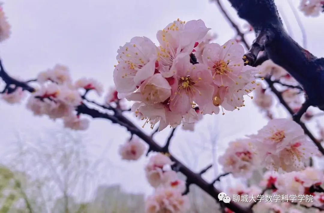太阳集团tcy8722
